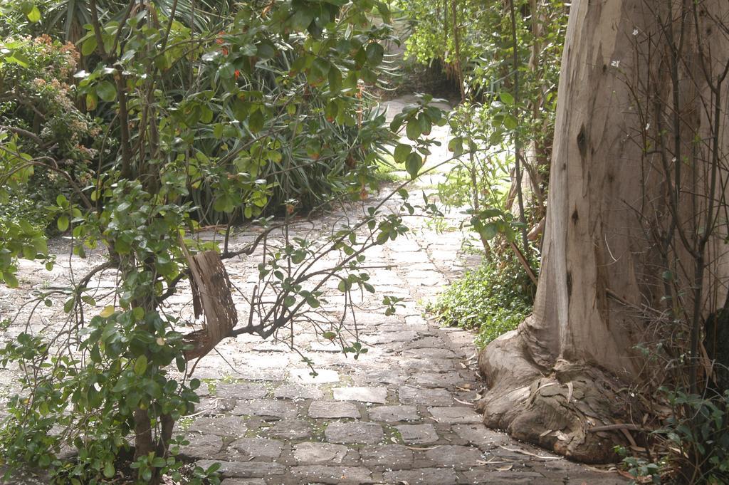 Hotel Acacias De Vitacura Σαντιάγκο Εξωτερικό φωτογραφία